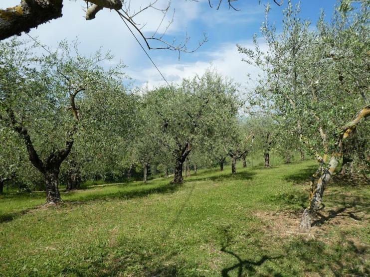 Casa Giuliana Apartment Chiusi Luaran gambar
